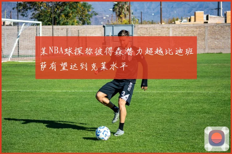 某NBA球探称彼得森潜力超越比迪班萨有望达到克莱水平